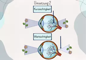 Vorschau - Präsentationen/Tafelbilder - Tafelbild/ Legebild: Wie funktioniert Sehen? - Seite 3
