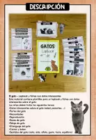 Vista previa - Unidades / Secuencias / Situaciones de Aprendizaje - El GATO - Lapbook y fichas con datos interesantes - página 1
