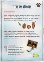 Vorschau - Unterrichtsreihen - Tiere im Winter - Lernwerkstatt - Seite 3