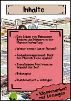 Vorschau - Stundenentwürfe - Tierethik - Massentierhaltung - Fleischkonsum - Seite 1