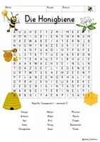 Vorschau - Arbeitsblätter - Die Honigbiene Suchsel Buchstabengitter 4 Versionen Biene Sachunterricht Deutsch - Deckblatt