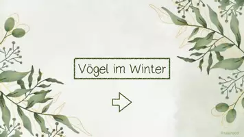 Vorschau - Interaktives Material - IA Vogelkartei - Seite 3