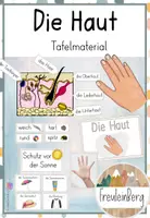 Vorschau - Präsentationen/Tafelbilder - Tafelmaterial - Die Haut - Der Tastsinn - Deckblatt