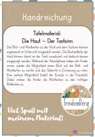 Vorschau - Präsentationen/Tafelbilder - Tafelmaterial - Die Haut - Der Tastsinn - Seite 2