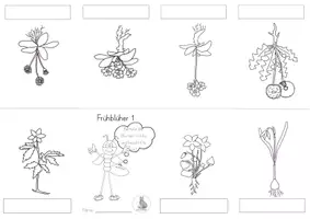 Vorschau - Arbeitsblätter - Faltbüchlein Frühblüher Faltbuch #edukiknaller2021 - Seite 1