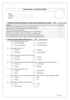 Vorschau - Test - Lesekontrolle zur Kurzgeschichte "Frösche im Meer" - Seite 2