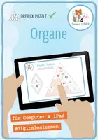 Vorschau - Spiele - Organe – Digitales Dreieck Domino Spiel für Computer & iPad - Deckblatt