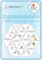 Vorschau - Spiele - Organisationsstufen – Dreieck Domino Spiel - Deckblatt