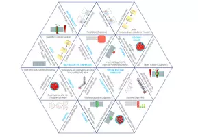 Vorschau - Spiele - Diffusion, Osmose & Membrantransport – Dreieck Domino Spiel - Seite 2