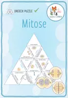 Vorschau - Spiele - Mitose – Dreieck Domino Spiel (klein) - Deckblatt