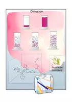 Vorschau - Arbeitsblätter - Diffusion - Seite 2