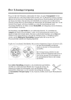 Vorschau - Arbeitsblätter - Lösungsvorgang - Seite 2