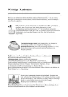 Vorschau - Arbeitsblätter - Wichtige Karbonate - Seite 1