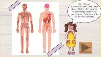 Vorschau - Interaktives Material - Mein Körper interaktiv - innere Organe - Seite 2