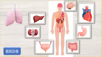 Vorschau - Interaktives Material - Mein Körper interaktiv - innere Organe - Seite 3