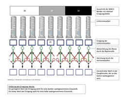 Vorschau - Arbeitsblätter - Laterale Inhibition am Beispiel der MACH Bänder - Deckblatt