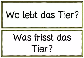 Vorschau - Präsentationen/Tafelbilder - Tiere beschreiben Fragesätze - Seite 1