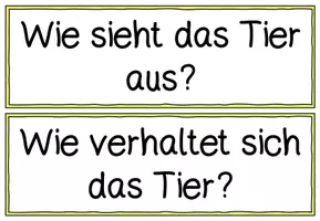 Vorschau - Präsentationen/Tafelbilder - Tiere beschreiben Fragesätze - Seite 2