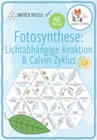Vorschau - Stationenlernen - Fotosynthese: Lichtabhängige Reaktion und Calvin-Zyklus - Dreieck Domino Spiel (Abitur) - Deckblatt