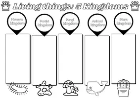 Vista previa - Tarjetas / Manipulativos - LIVING THINGS - página 1