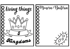 Vista previa - Tarjetas / Manipulativos - LIVING THINGS - página 3