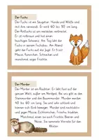 Vorschau - Stationenlernen - Waldtierkartei - Seite 2
