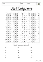 Vista previa - Juegos / Gamificación - Alemán Die Honigbiene Suchsel Buchstabengitter 4 Versionen Biene Sachunterricht Deutsch - página 3