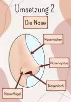 Vorschau - Präsentationen/Tafelbilder - Tafelbild/ Legebild Die Nase, Aufbau der Nase - Seite 3
