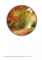 Vorschau - Spiele - Bodenkreis - Herbst (fächerübergreifende Leseförderung, Legekreis, Inklusion) - Seite 2