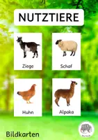 Vorschau - Bildkarten - Nutztiere: 20 Bildkarten/ flash cards mit Fotos - Deckblatt