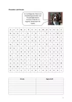 Vorschau - Arbeitsblätter - Seltene Hunderassen Der Appenzeller Sennenhund - Seite 2