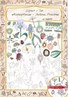 Vorschau - Mal- und Bastelvorlagen - Clipart - Set: *Blütenpflanze - Aufbau, Früchte* - Deckblatt