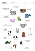 Vorschau - Unterrichtsreihen - DaZ Paket 13 TIERE - Lernwörter, Maldiktat, Rätsel (5-fach diff.), Plural + LÖSUNG - Seite 3
