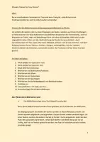 Vorschau - Lehrpläne/Lehrermaterial - Spielanleitung für Pferde-Bildkarten - Seite 2