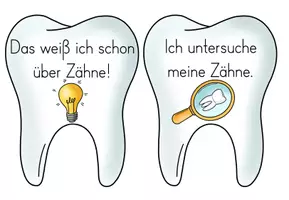 Vorschau - Präsentationen/Tafelbilder - Zähne - Reihentransparenz für die Unterrichtsreihe - Seite 1