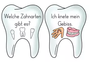 Vorschau - Präsentationen/Tafelbilder - Zähne - Reihentransparenz für die Unterrichtsreihe - Seite 2