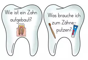 Vorschau - Präsentationen/Tafelbilder - Zähne - Reihentransparenz für die Unterrichtsreihe - Seite 3