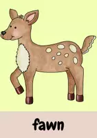 Vorschau - Bildkarten - Flashcards Nature (Frühenglisch) - Seite 2