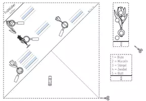 Vorschau - Arbeitsblätter - Frühblüher - Quadrama (DIN A3) für die 1. Klasse #edukilights22 - Seite 2