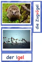 Vorschau - Unterrichtsreihen - Tieren im Winter auf der Spur (Materialpaket -digital-) - Seite 1