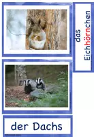 Vorschau - Unterrichtsreihen - Tieren im Winter auf der Spur (Materialpaket -digital-) - Seite 3