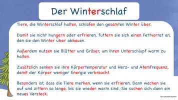 Vorschau - Unterrichtsreihen - Tieren im Winter auf der Spur (Materialpaket - analog-) - Seite 3
