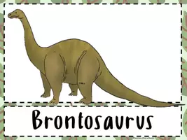 Vorschau - Bildkarten - Dinosaurier: Bild- und Wortkarten (wachsend) - Seite 3