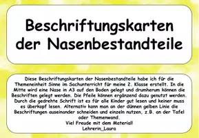 Vorschau - Poster - Sinne: Beschriftungen Nase - Seite 1