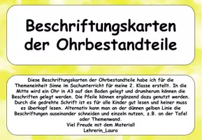 Vorschau - Poster - Sinne: Beschriftungen Ohr - Seite 1