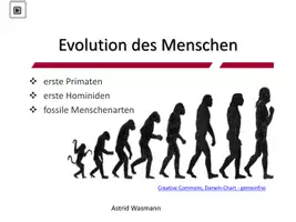 Vorschau - Unterrichtsreihen - Evolution des Menschen zum Selbstlernen - Seite 1