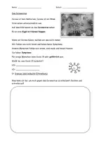 Vorschau - Arbeitsblätter - Coronavirus: Regeln heute und Vorstellungen von der Zukunft - Seite 2