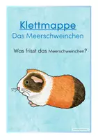 Vorschau - Unterrichtsreihen - Klettmappe Meerschweinchen - Seite 2