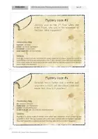 Vorschau - Arbeitsblätter - New Mystery cases: Practicing past tenses and questions - Seite 2
