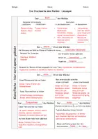 Vorschau - Arbeitsblätter - AB Stockwerkbau des Waldes differenziert & aufklappbar - Seite 3